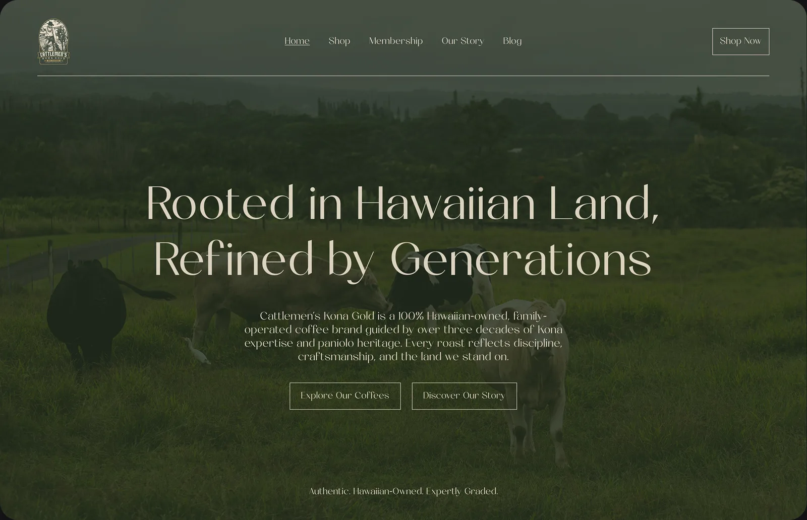 Hawai — Coffee